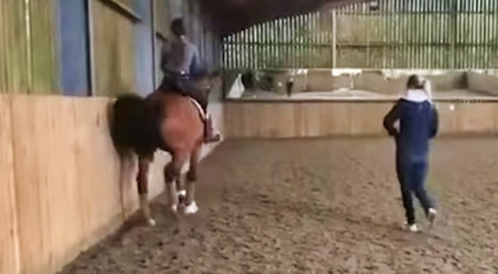 Newly Leaked Video Exposes Olympic Champion Brutally Whipping A Horse